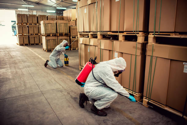 Best Pest Control for Homes  in Hammond, LA