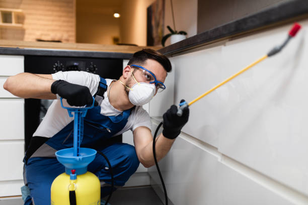 Best Residential Pest Control  in Hammond, LA
