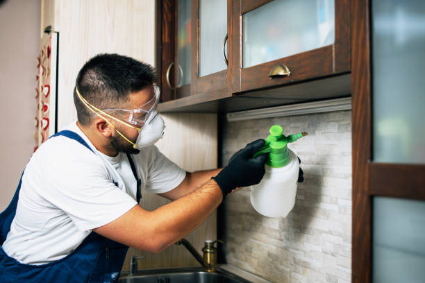 Best Mosquito Control Services  in Hammond, LA