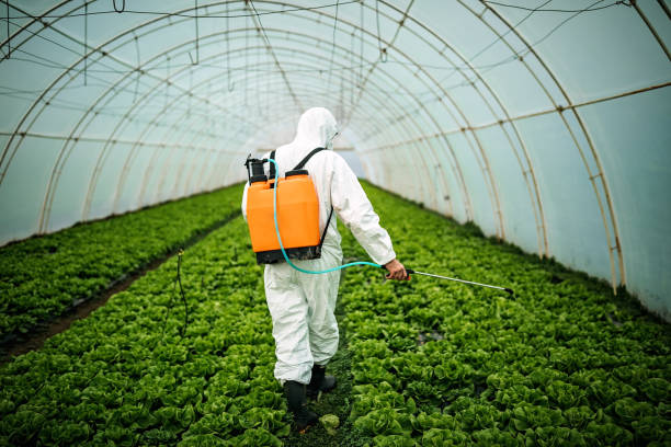Best Mosquito Control Services  in Hammond, LA