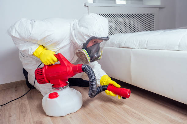 Best Local Pest Control Services  in Hammond, LA
