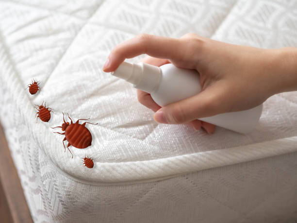 Best Exterminator Services  in Hammond, LA
