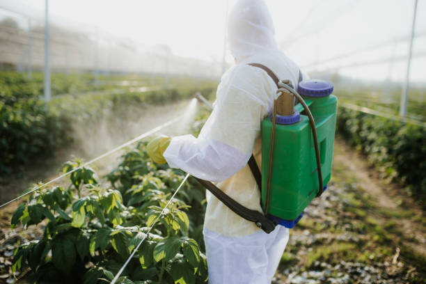 Best Local Pest Control Services  in Hammond, LA